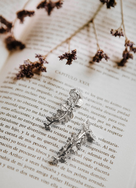 Pendientes trepadores - Plata